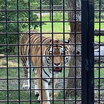 Assiniboine Park Zoo - Zoos Near Me - Winnipeg, Manitoba Assiniboine Park Zoo - Zoos Near Me - Winnipeg, Manitoba