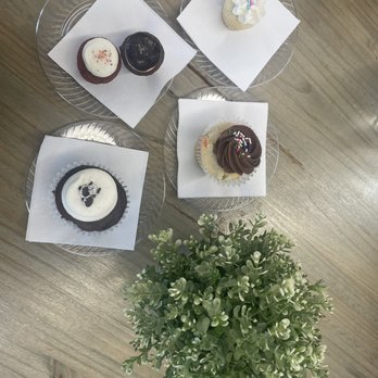 Cupprimo - Coffee & Tea Near Me - Austin, Texas