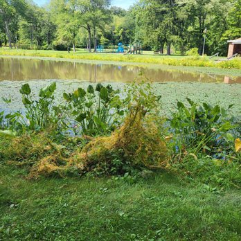 Washington Park - Parks Near Me - Windsor, Connecticut
