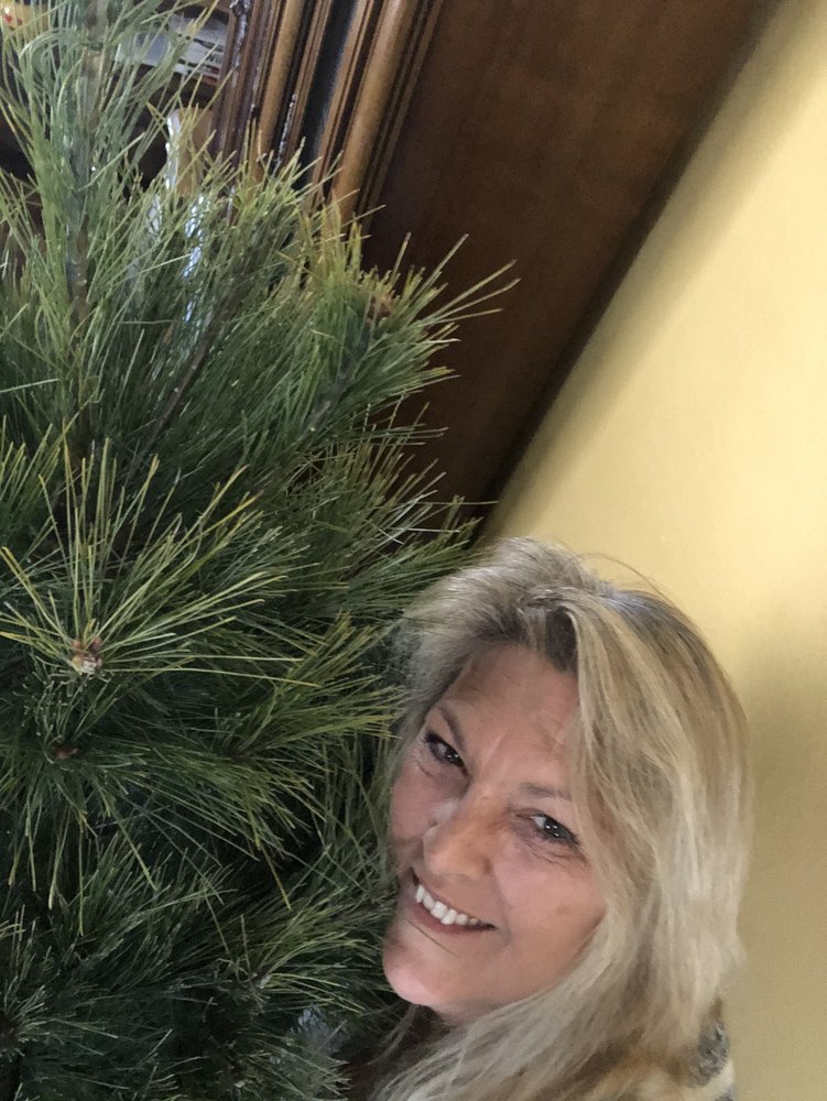 DANIKEN CHRISTMAS TREE FARM Updated June 2024 781 Illinois Rte 140