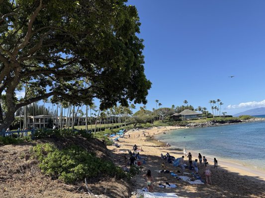Kapalua Bay Beach by null