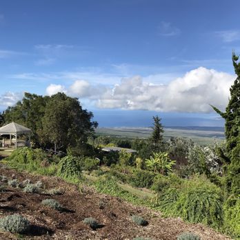 Ali'i Kula Lavender - Tours Near Me - Kula, Hawaii Ali'i Kula Lavender - Tours Near Me - Kula, Hawaii