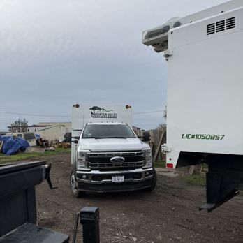 Mountain Valley Tree Service - Tree Services Near Me Mountain Valley Tree Service - Tree Services Near Me