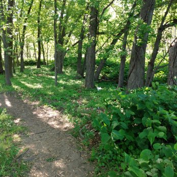 AMICO ISLAND STATE PARK - Updated September 2025 - 185 Photos & 20 Reviews - 81 Norman Ave 