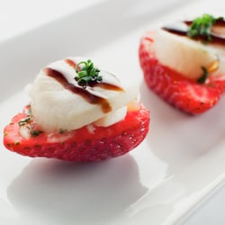 The Lazy Gourmet - Scallop