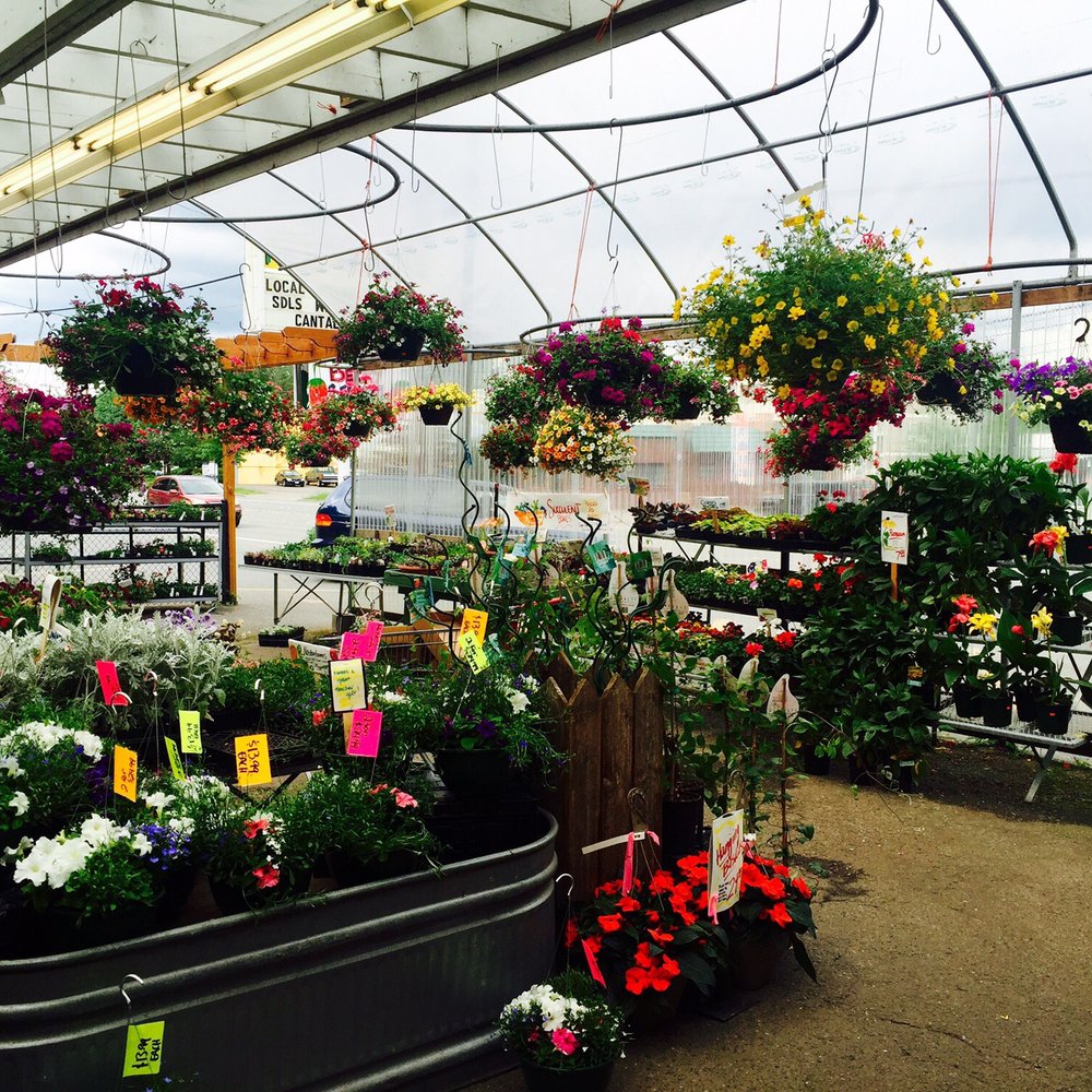 Yakima Fruit Market & Nursery - Garden section - Fruits & Veggies Near Me - Bothell, Washington Yakima Fruit Market & Nursery - Garden section - Fruits & Veggies Near Me - Bothell, Washington