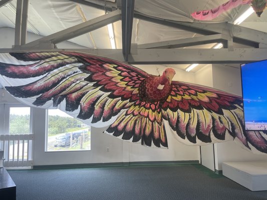 World Kite Museum & Hall-Fame by null