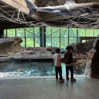 Vancouver Aquarium - Aquariums Near Me - Vancouver, British Columbia Vancouver Aquarium - Aquariums Near Me - Vancouver, British Columbia