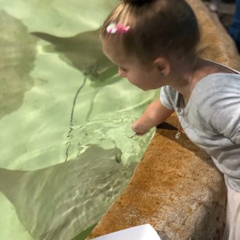 Long Island Aquarium - Feed the stingrays! - Aquariums Near Me - Riverhead, New York Long Island Aquarium - Feed the stingrays! - Aquariums Near Me - Riverhead, New York