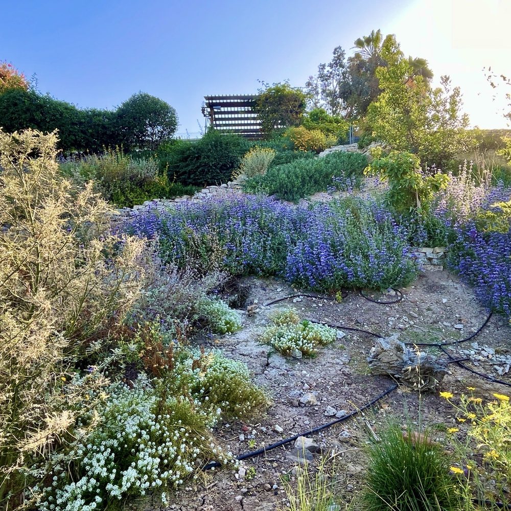 Drab To Fab - Landscape Architects or Designers Near Me - San Diego, California