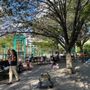 Photo of Harry Chapin Playground