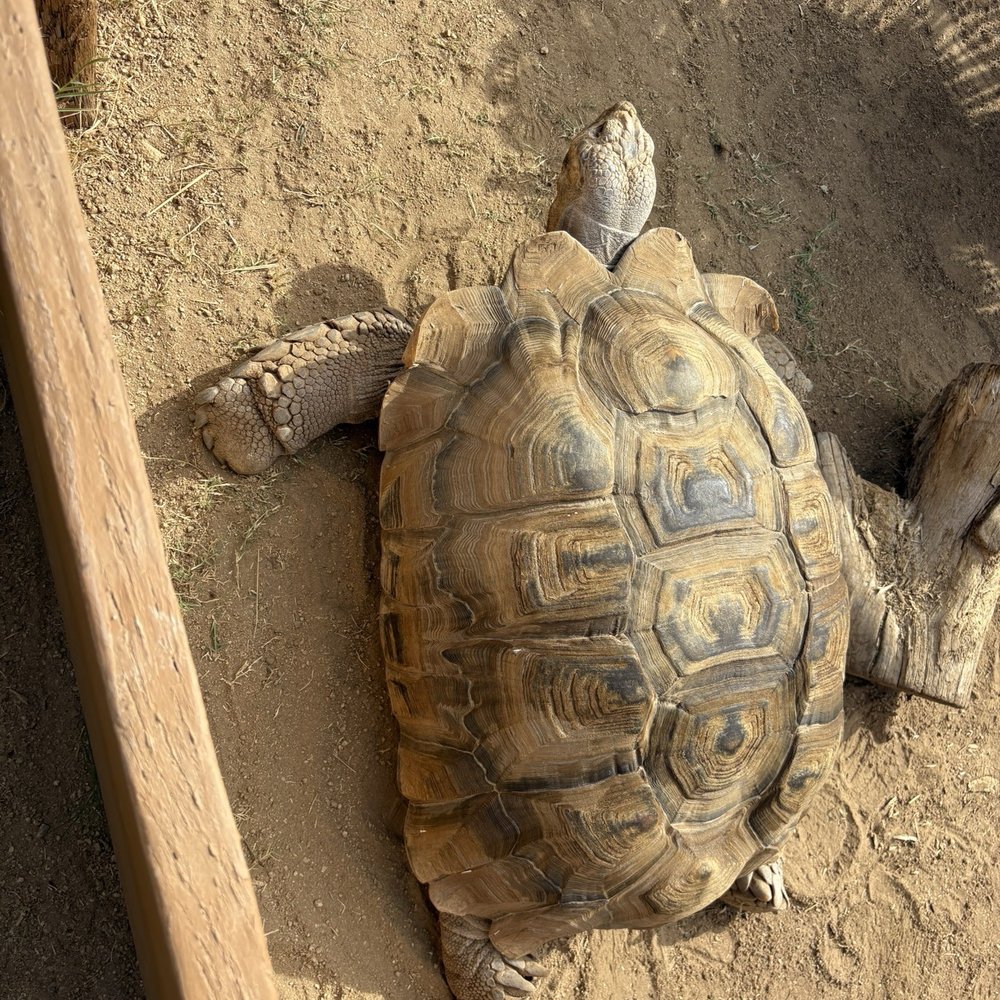 Those are some of the animals we got to touch and some we got to feed. Those are some of the animals we got to touch and some we got to feed.