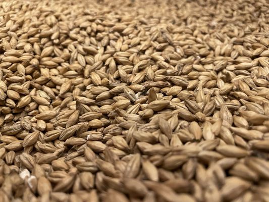 Kavalan Distillery by null