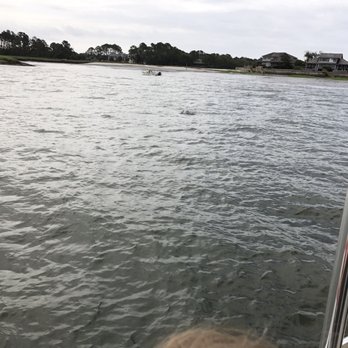 Drifter Excursions - Dolphins were out - Fishing Near Me - Hilton Head Island, South Carolina Drifter Excursions - Dolphins were out - Fishing Near Me - Hilton Head Island, South Carolina