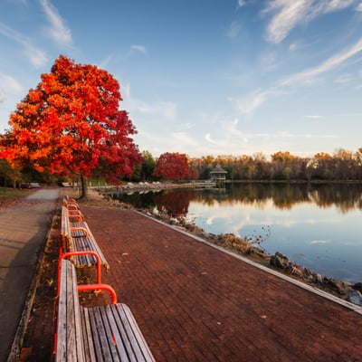 Lake Artemesia Natural Area by null