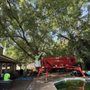 Photo of Finch’s Tree Service