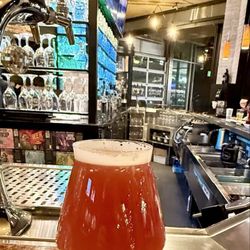 Bullfinch Brewpub - Holiday Lights Sour