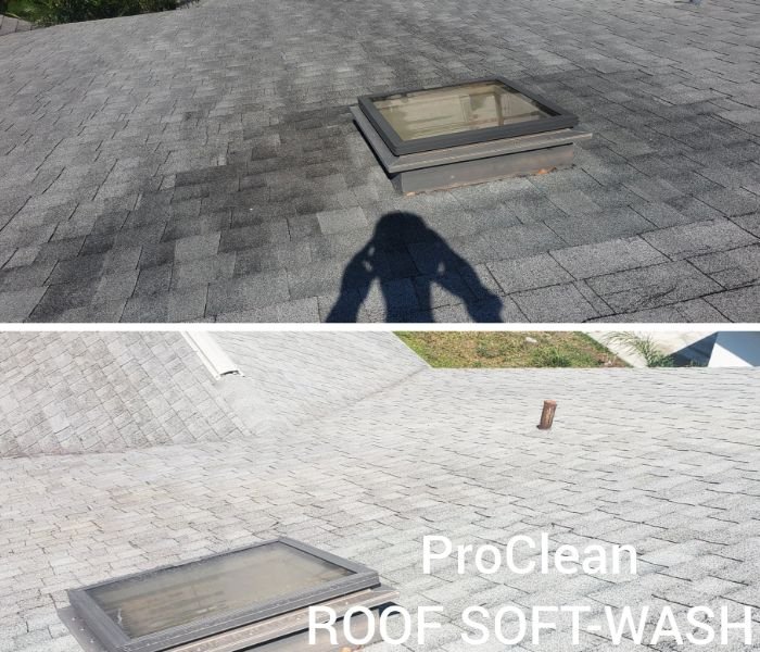 Slide of Tampa Bay Roof Cleaning