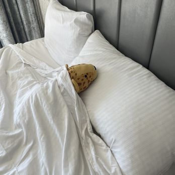 Flamingo Las Vegas - sleeping soundly - Hotels Near Me - Las Vegas, Nevada Flamingo Las Vegas - sleeping soundly - Hotels Near Me - Las Vegas, Nevada