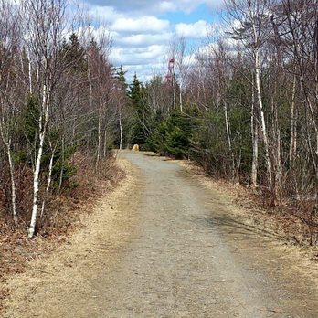 Point Pleasant Park - Trails! - Parks Near Me - Halifax, Nova Scotia Point Pleasant Park - Trails! - Parks Near Me - Halifax, Nova Scotia