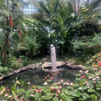 Lincoln Park Conservatory - Palm House - Parks Near Me - Chicago, Illinois