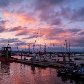 The Boathouse - View from the Boathouse. - Seafood Near Me - Ossining, New York