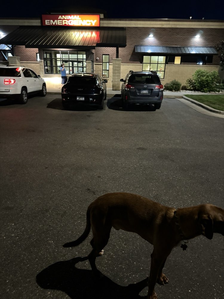 MOORE LANE VETERINARY HOSPITAL Updated September 2024 22 Photos