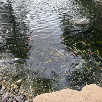 The Windmill Winery - Pond - Venues & Event Spaces Near Me - Florence, Arizona
