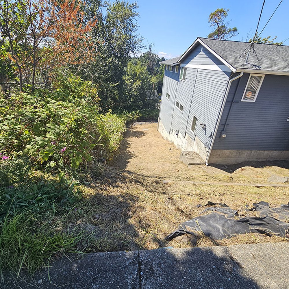 AKT Landscaping - After - Landscaping Near Me - Seattle, Washington AKT Landscaping - After - Landscaping Near Me - Seattle, Washington