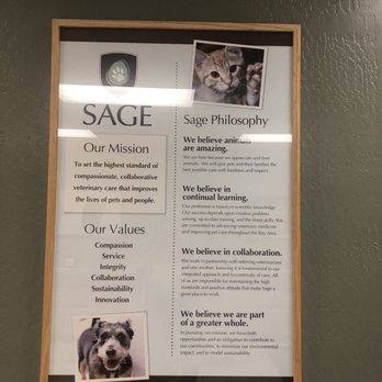 SAGE Veterinary Centers - Concord - Veterinarians Near Me - Concord, California