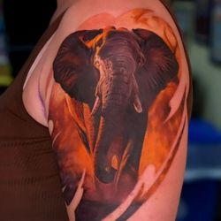 Pain & Wonder Tattoo Studio - Elephant tattoo