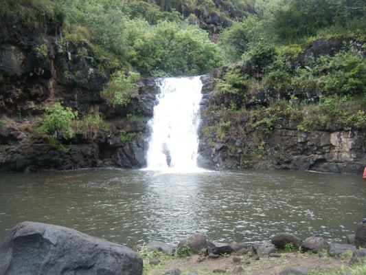 Waimea Valley by null