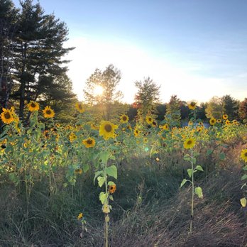 Echo Hill Orchards & Winery - Absolutely beautiful - Wine Tasting Room Near Me - Monson, Massachusetts