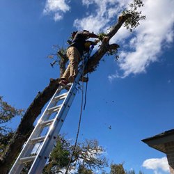 Eagle Tree & Lawn Care