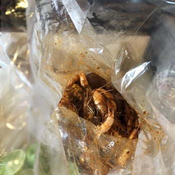 The Boiling Crab - Cajun/Creole Near Me - San Jose, California The Boiling Crab - Cajun/Creole Near Me - San Jose, California