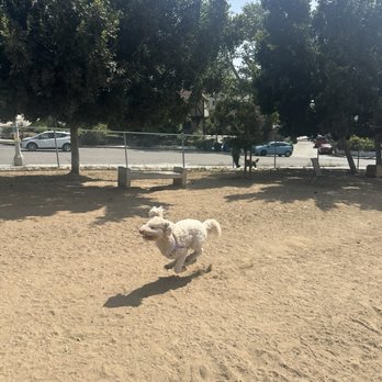 Silver Lake Dog Park - Dog Parks Near Me - Los Angeles, California