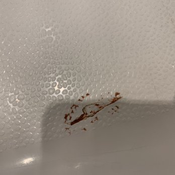 Tru by Hilton Amarillo West - Blood in cracked shower floor - Hotels Near Me - Amarillo, Texas Tru by Hilton Amarillo West - Blood in cracked shower floor - Hotels Near Me - Amarillo, Texas