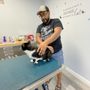 Photo of Gulf Coast Scratching Post Cat Hospital