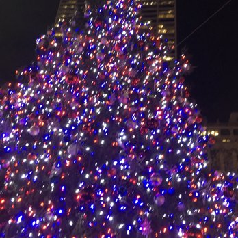Bryant Park - Tree that is here for Holiday Season - Parks Near Me - New York, New York Bryant Park - Tree that is here for Holiday Season - Parks Near Me - New York, New York
