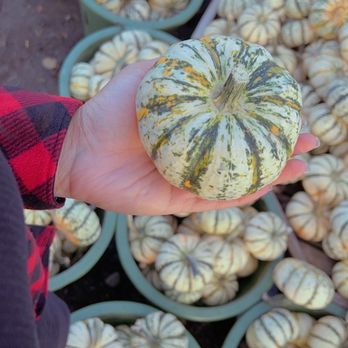 Secor Farms - Fruits & Veggies Near Me - Mahwah, New Jersey Secor Farms - Fruits & Veggies Near Me - Mahwah, New Jersey