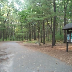 Lowell-Dracut-Tyngsboro State Forest