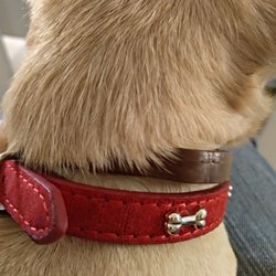 Torre Asia Multiprecio - Collar - 1.95€