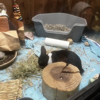 Lindsay Wildlife Experience - Museums Near Me - Walnut Creek, California Lindsay Wildlife Experience - Museums Near Me - Walnut Creek, California
