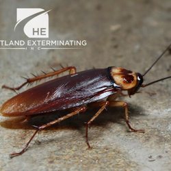 Heartland Exterminating