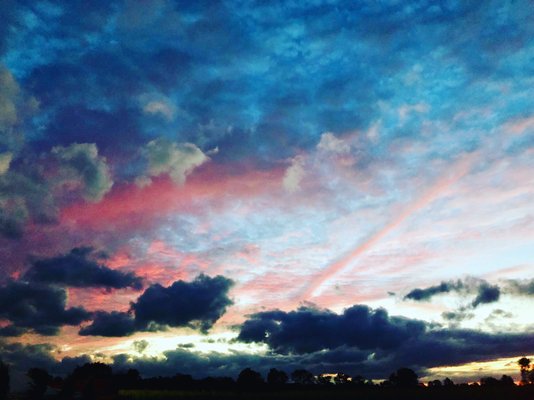 Coleman's Farm - Saline by null