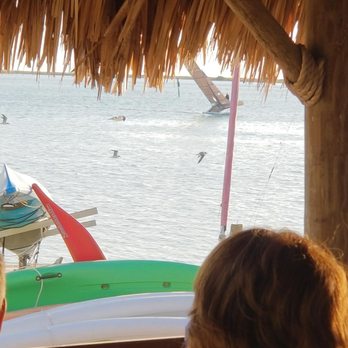 High & Dry Grill - A catamaran flying past - Tiki Bars Near Me - Dunedin, Florida