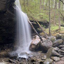 Virgin Falls Pocket Wilderness - Big Laurel Falls