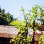 Photo of Babila Hostel