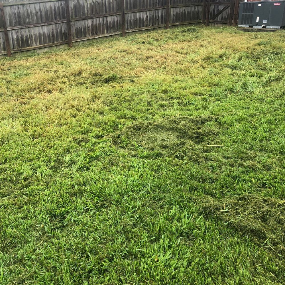 Clean Cut Lawn Service - Landscaping Near Me - Clarksville, Tennessee Clean Cut Lawn Service - Landscaping Near Me - Clarksville, Tennessee