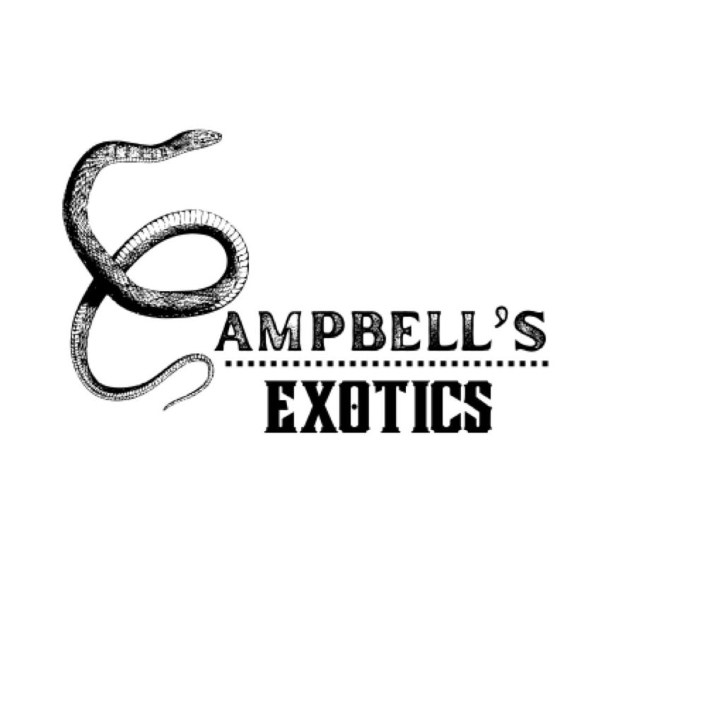 CAMPBELLS EXOTICS Heflin, Alabama Pet Breeders Phone Number Yelp